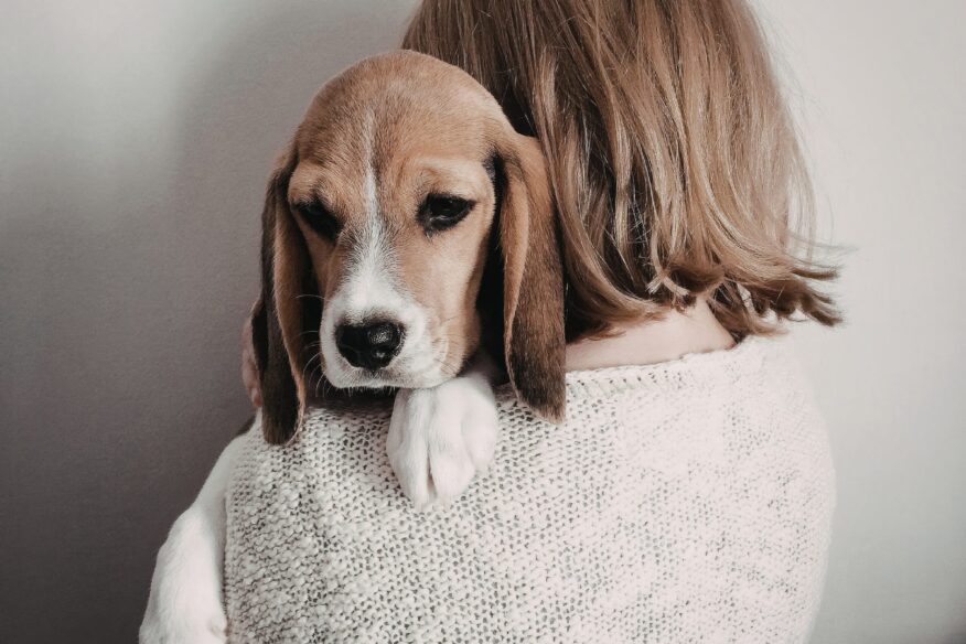 Grief Therapy Sydney for pet loss