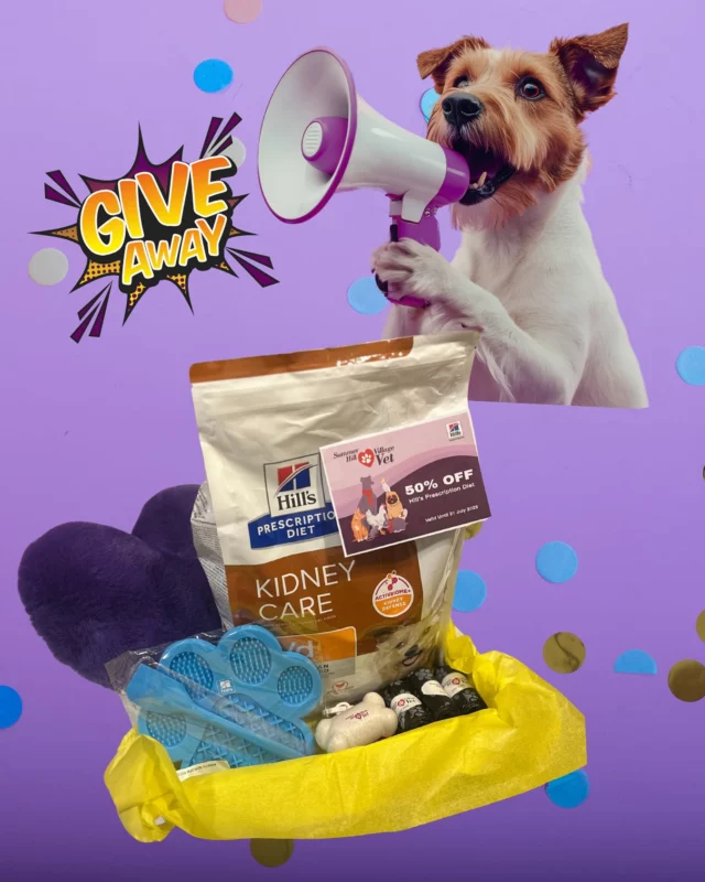 ‼️ ANOTHER SENIOR DOG HAMPER PACK GIVEAWAY 🐾

It is Senior Pet Month at Summer Hill Village Vet - and we’re celebrating our pawsome friends with a special DOG HAMPER GIVEAWAY just for dogs aged 7 years and over! 🐩

To enter, simply comment below with your senior dog’s full name. That’s it!

What’s in the hamper?

🐶 A bag of Hill’s Prescription Diet Dog  Food

🦴 50% off voucher for any Hill’s Prescription food purchased at Summer Hill Village Vet (valid until 31
July 2025)

💩 3x poo bags 

💜 A cuddly heart plushy

😆 A poo bag dispenser 

👅 A Hill’s Licking Mat for enrichment and fun!

🛍️ A foldable Hills branded shopping bag for you!

Entries WILL CLOSE 27 JUNE 2025 at 4PM

But that’s not all — we’ve got more hampers coming throughout Senior Month, so stay tuned for your next chance to win!

Let’s hear those glorious senior dog names! 👇🎉