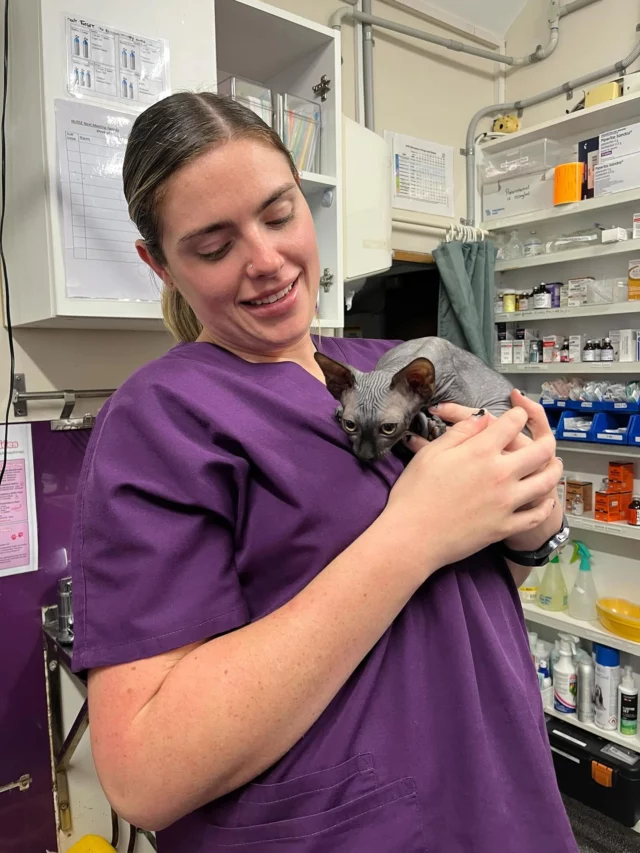 Head nurse Jordan and Salem 🥰🐈‍⬛